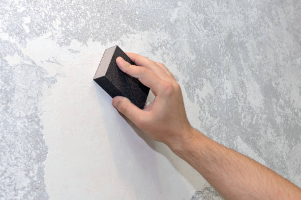 Professional Mold Removal in Cornell, WI