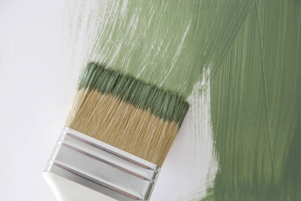 Mold Remediation for Rental Properties in Cornell, WI