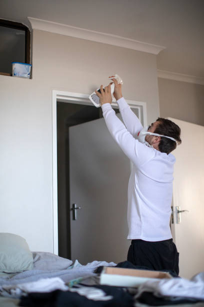 Best Mold Removal for HVAC Installations  in Cornell, WI