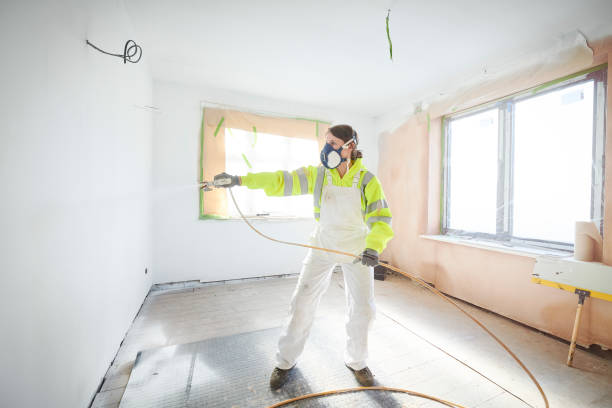Best Mold Odor Removal Services  in Cornell, WI