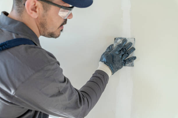 Best Mold Documentation for Insurance Claims  in Cornell, WI