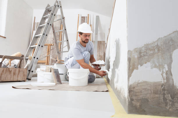 Best Mold Damage Restoration  in Cornell, WI