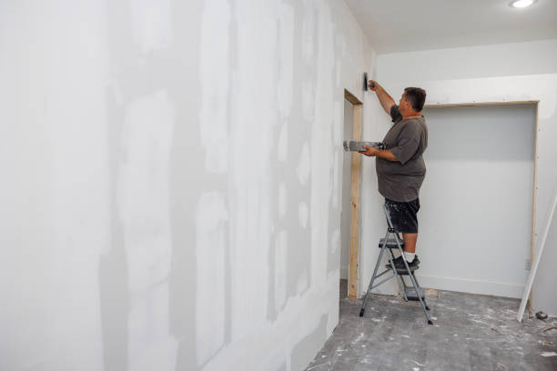 Best Forensic Mold Investigation  in Cornell, WI