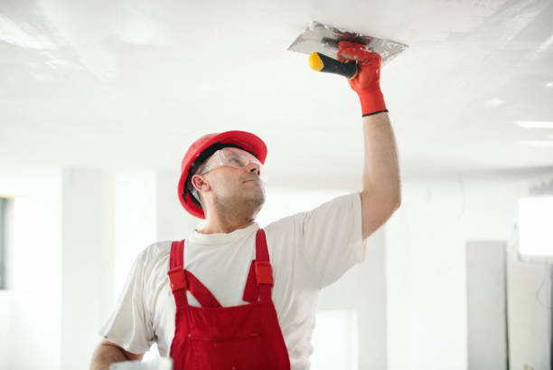 Best Emergency Mold Remediation  in Cornell, WI