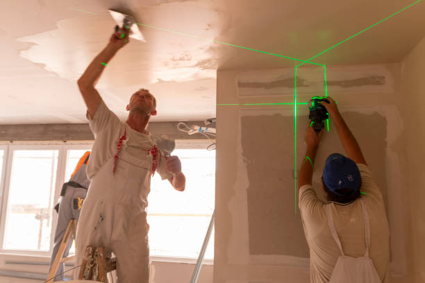 Best Airborne Mold Testing  in Cornell, WI
