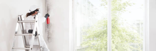 Best Commercial Mold Inspection  in Cornell, WI
