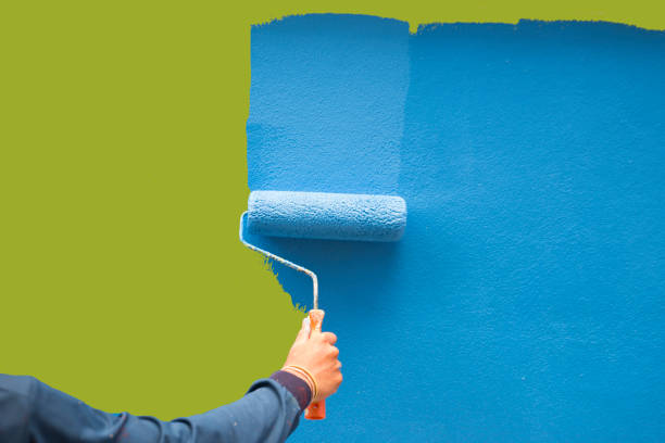 Best Black Mold Removal  in Cornell, WI